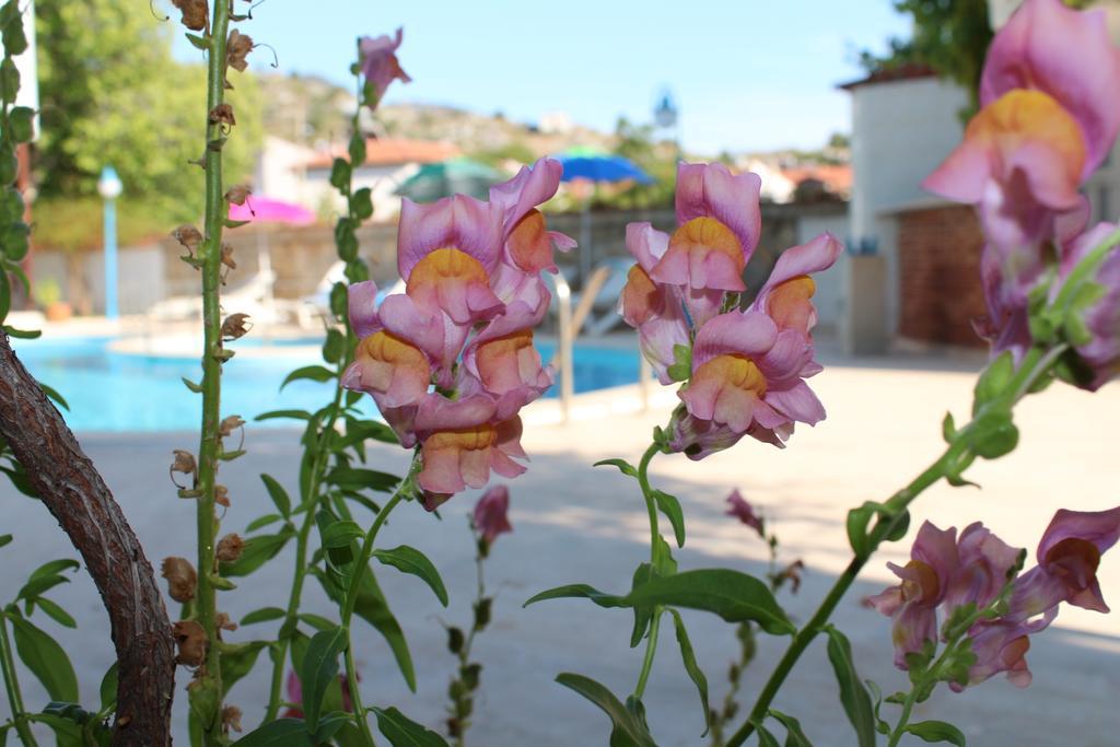 Turtle Beach Bungalows Apartment Dalyan Exterior photo