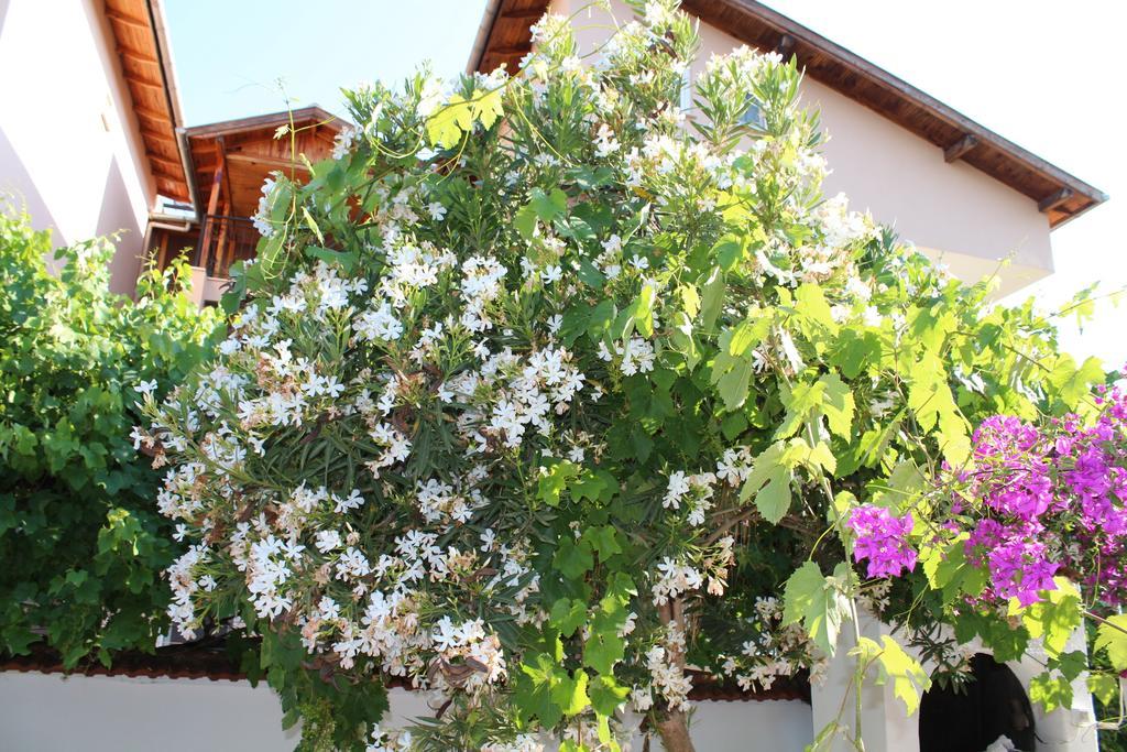 Turtle Beach Bungalows Apartment Dalyan Exterior photo
