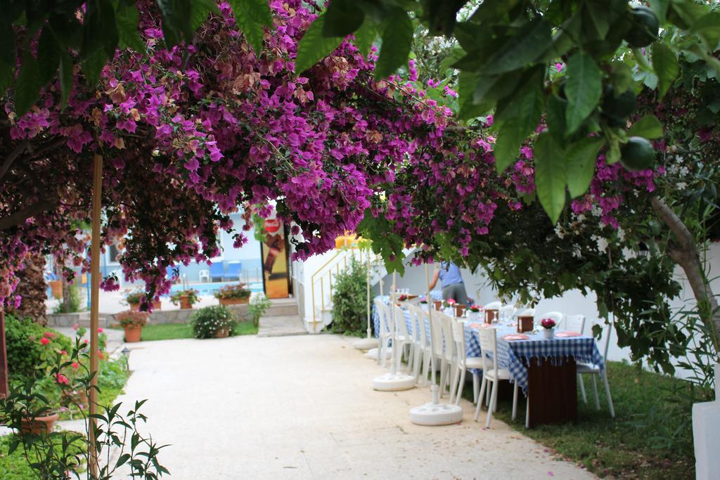 Turtle Beach Bungalows Apartment Dalyan Exterior photo